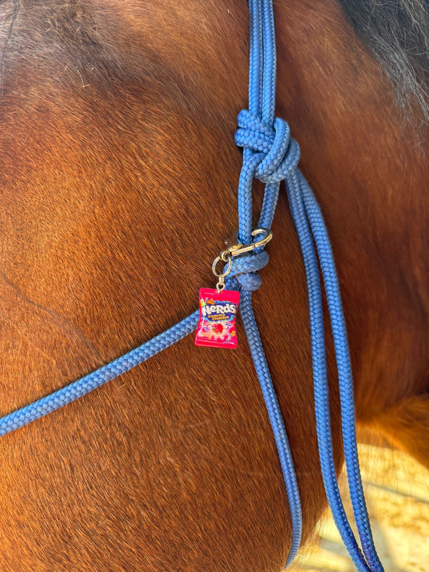 Sugar Rush Equestrian Charm