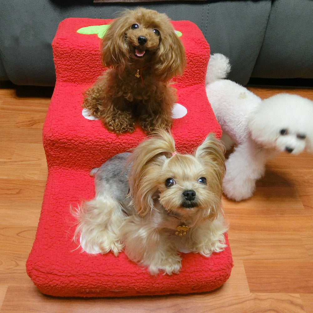 Berry Good Climb ~ Strawberry Pet Staircase