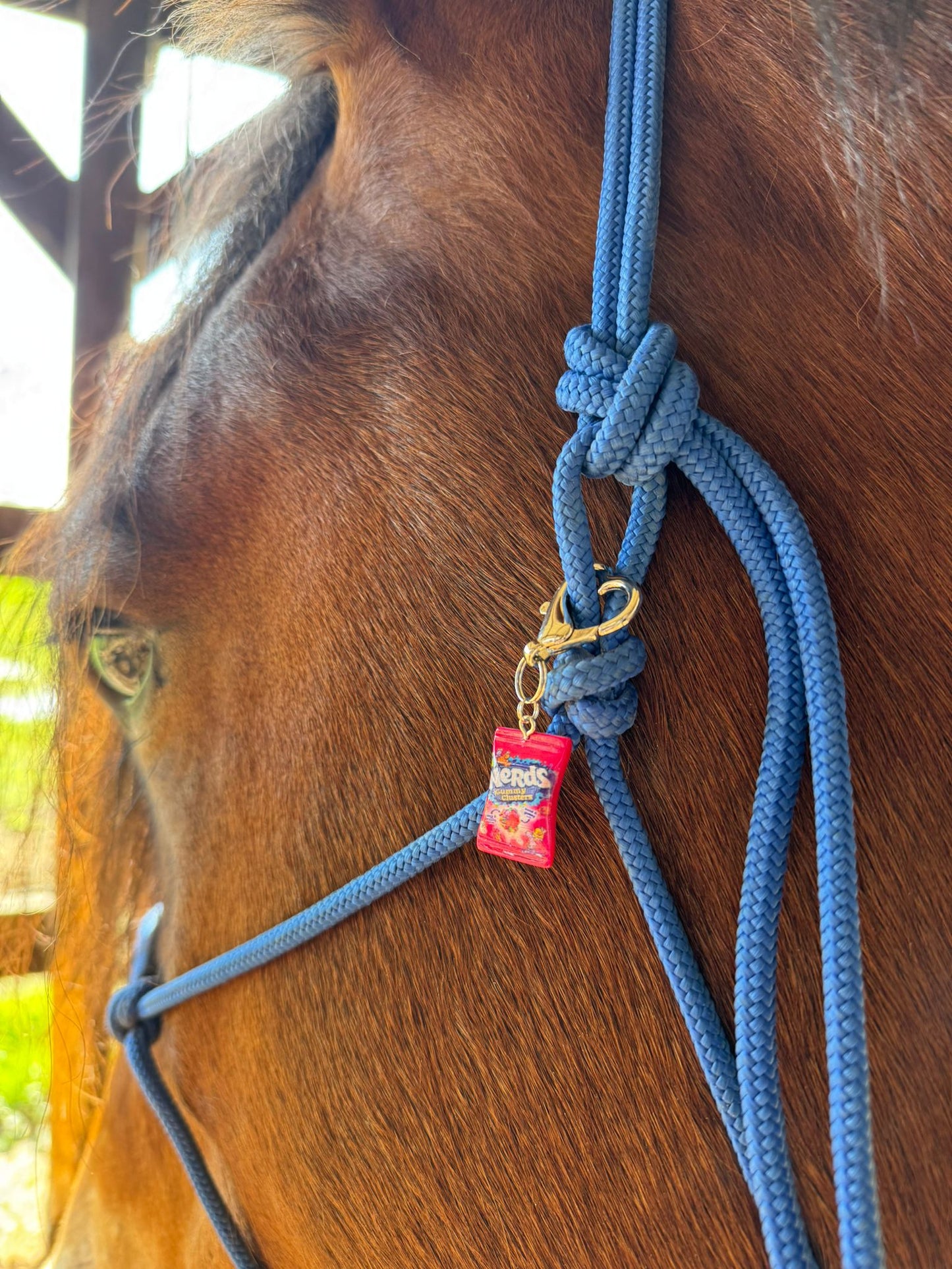 Sugar Rush Equestrian Charm