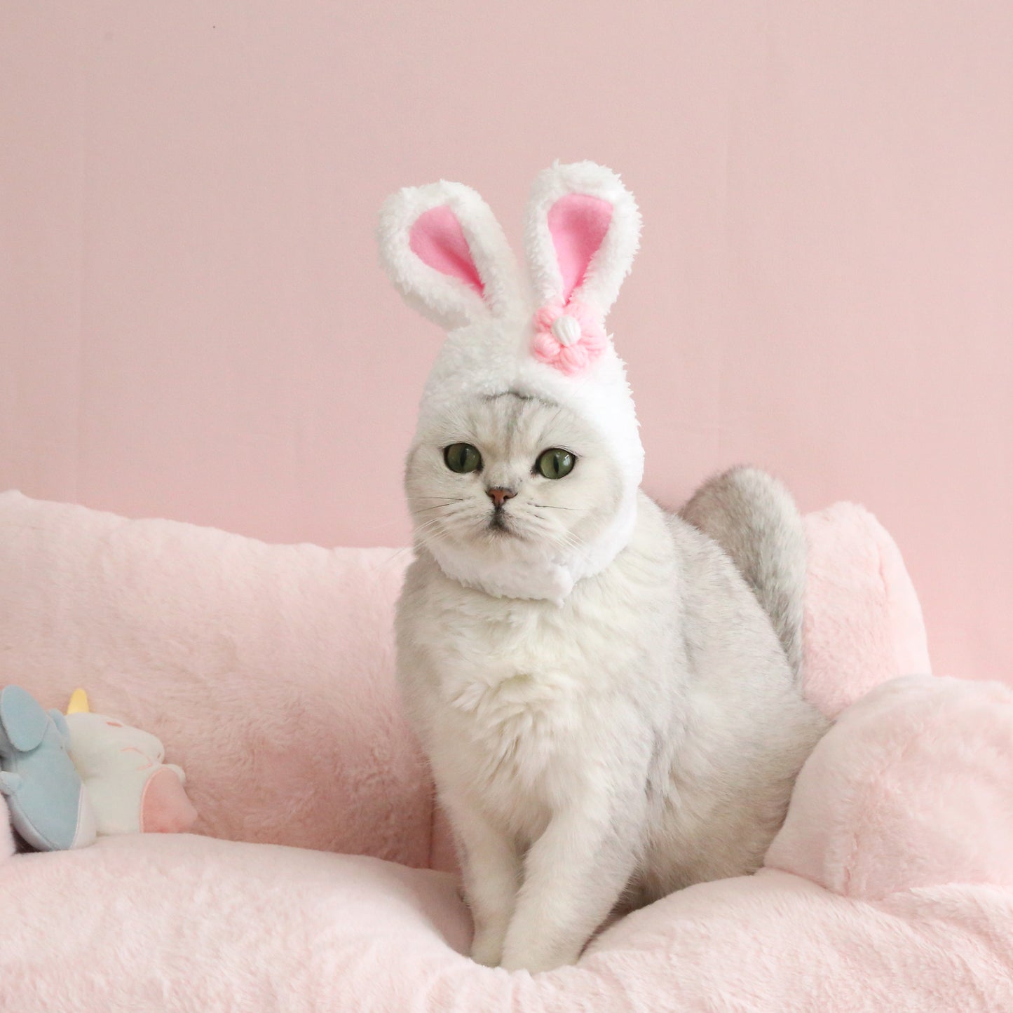 Bunny Bloom Hat for Pets