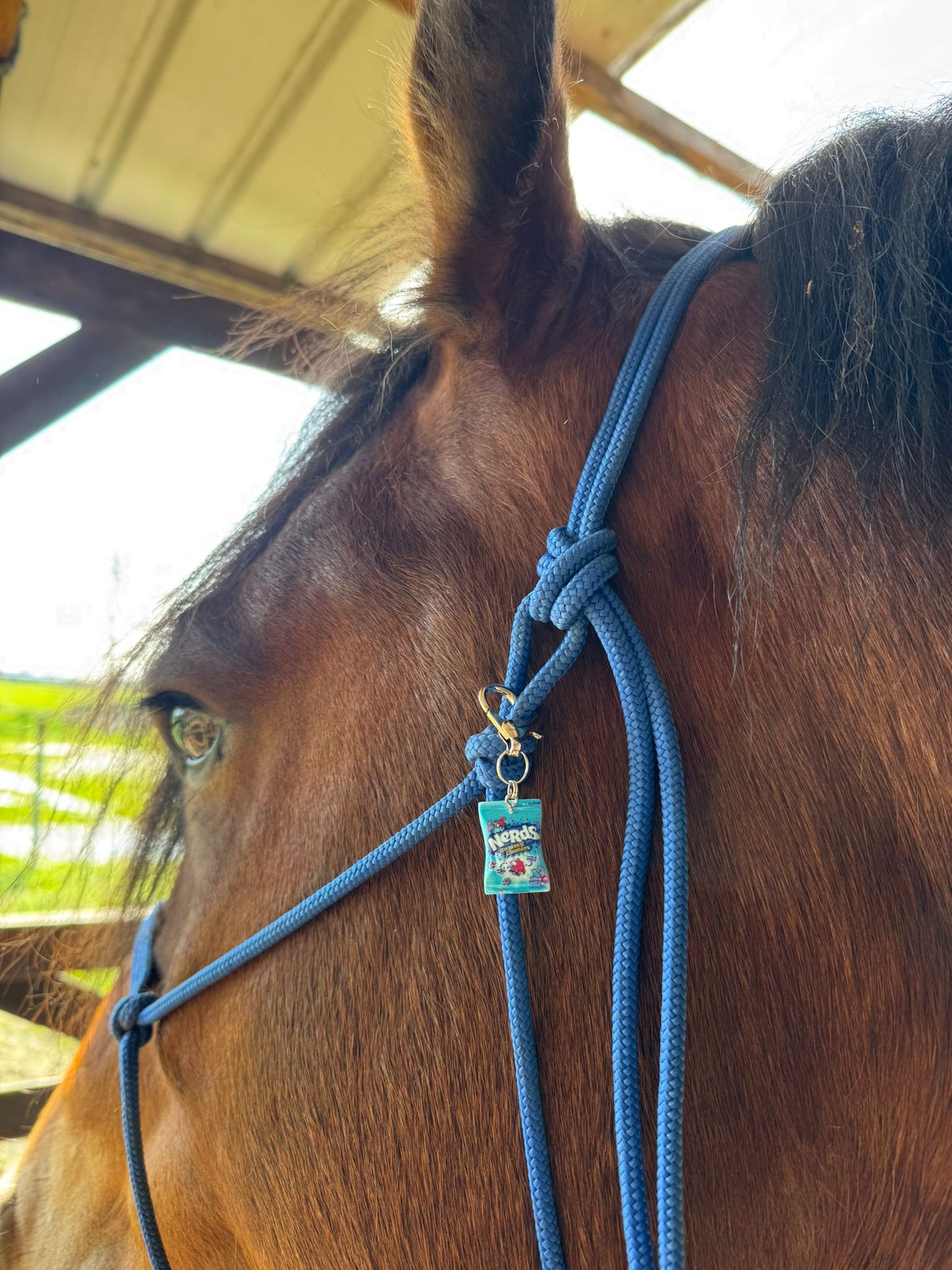 Sugar Rush Equestrian Charm