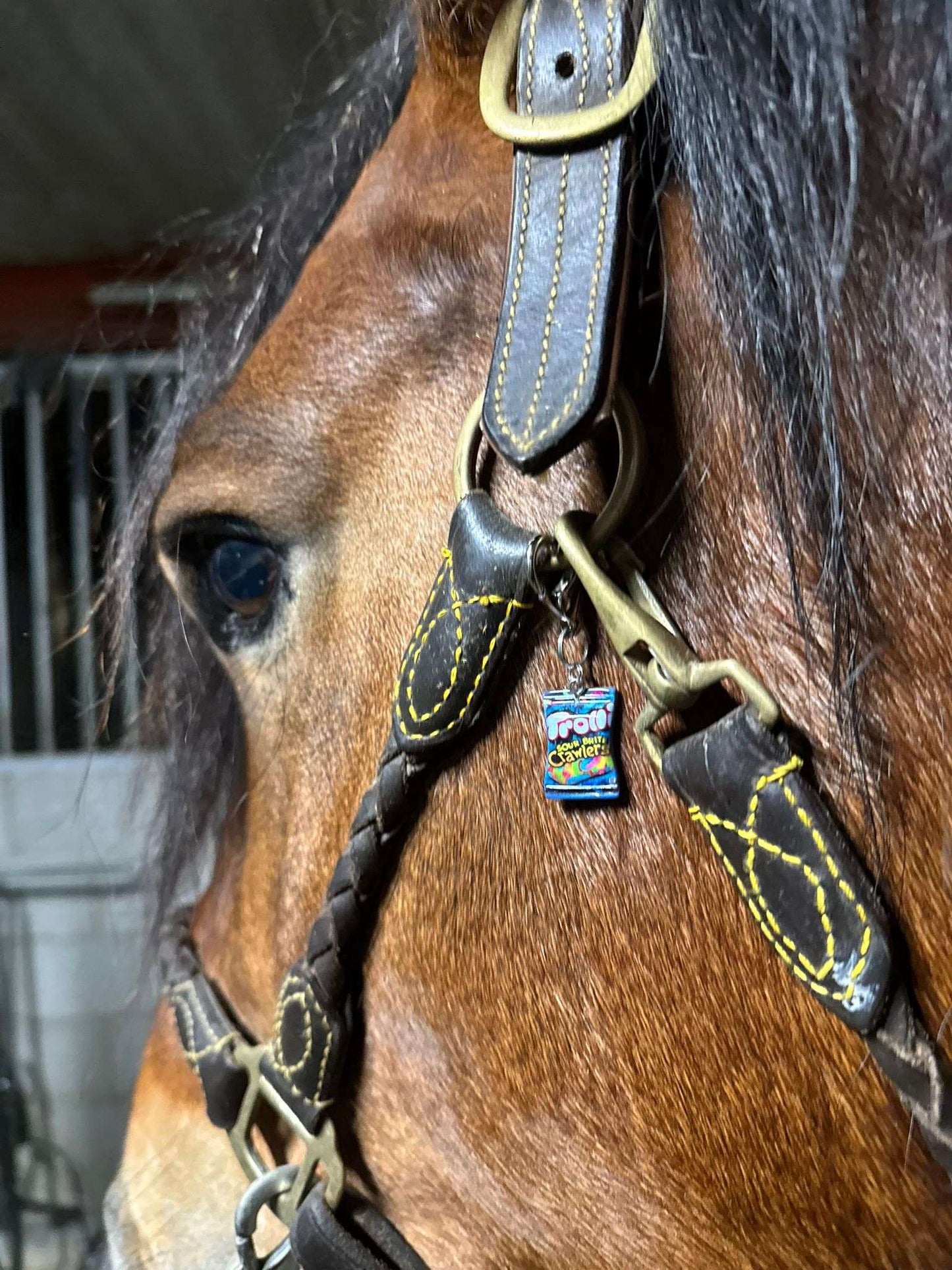 Sweet & Sour Equestrian Charm