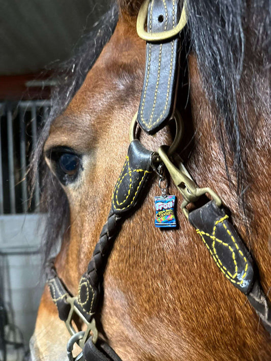 Sweet & Sour Equestrian Charm