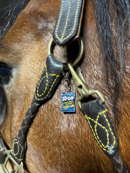 Sweet & Sour Equestrian Charm