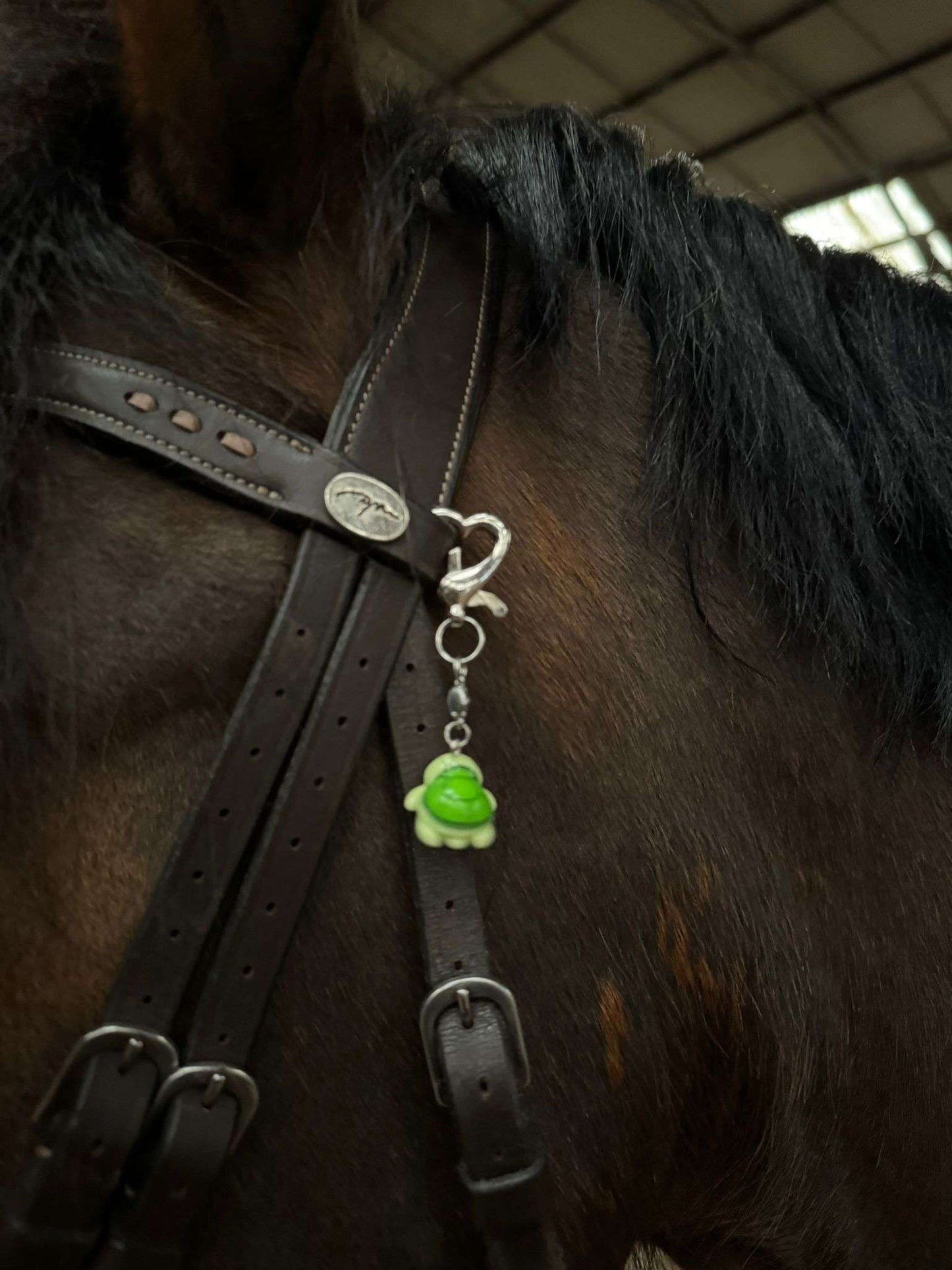 Lucky Turtle Equestrian Charm