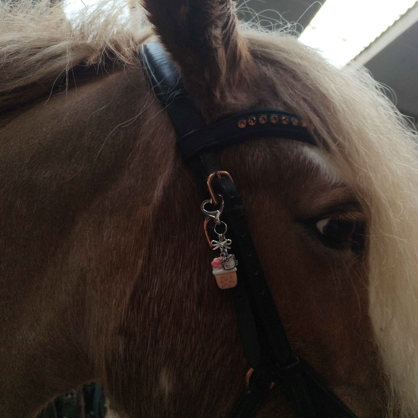 Boba Kittea Equestrian Charm