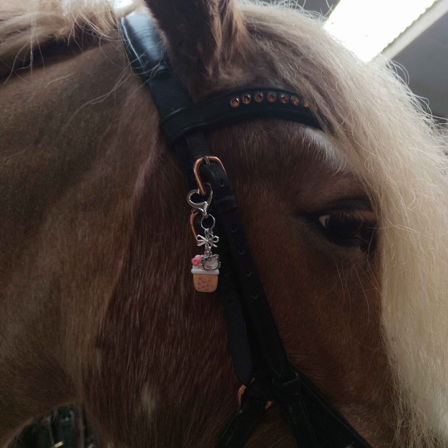 Boba Kittea Equestrian Charm