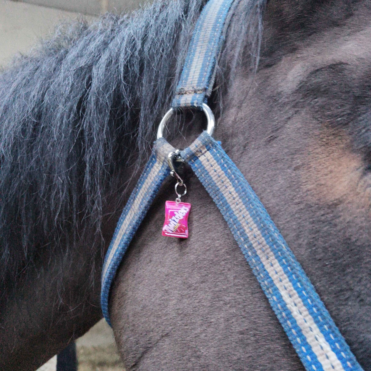 Ribbon Treat Equestrian Charm