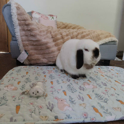 Dango's PawPads ~ Washable Non-Slip Pads