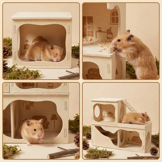 Burrow BnB ~ Cozy Multi-Chamber Watchbox