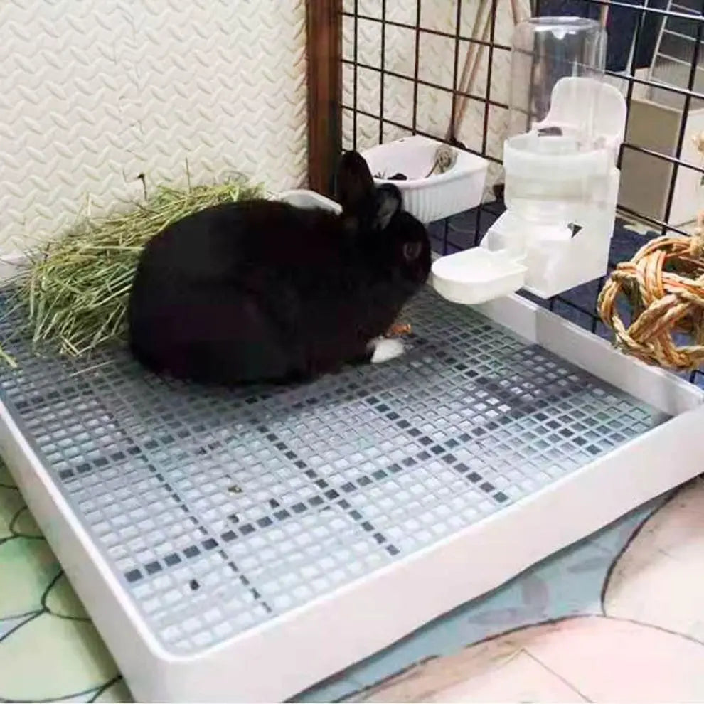 Dango's Litterbox with Grid