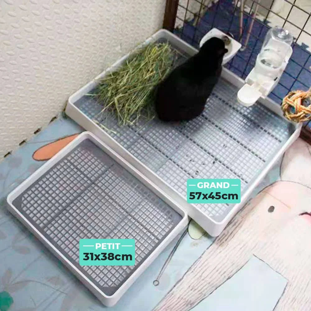 Dango's Litterbox with Grid
